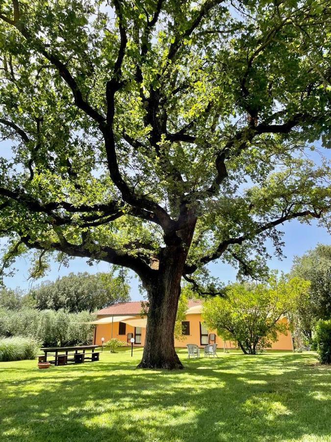Agriturismo I Tre Fossi Magliano in Toscana Extérieur photo