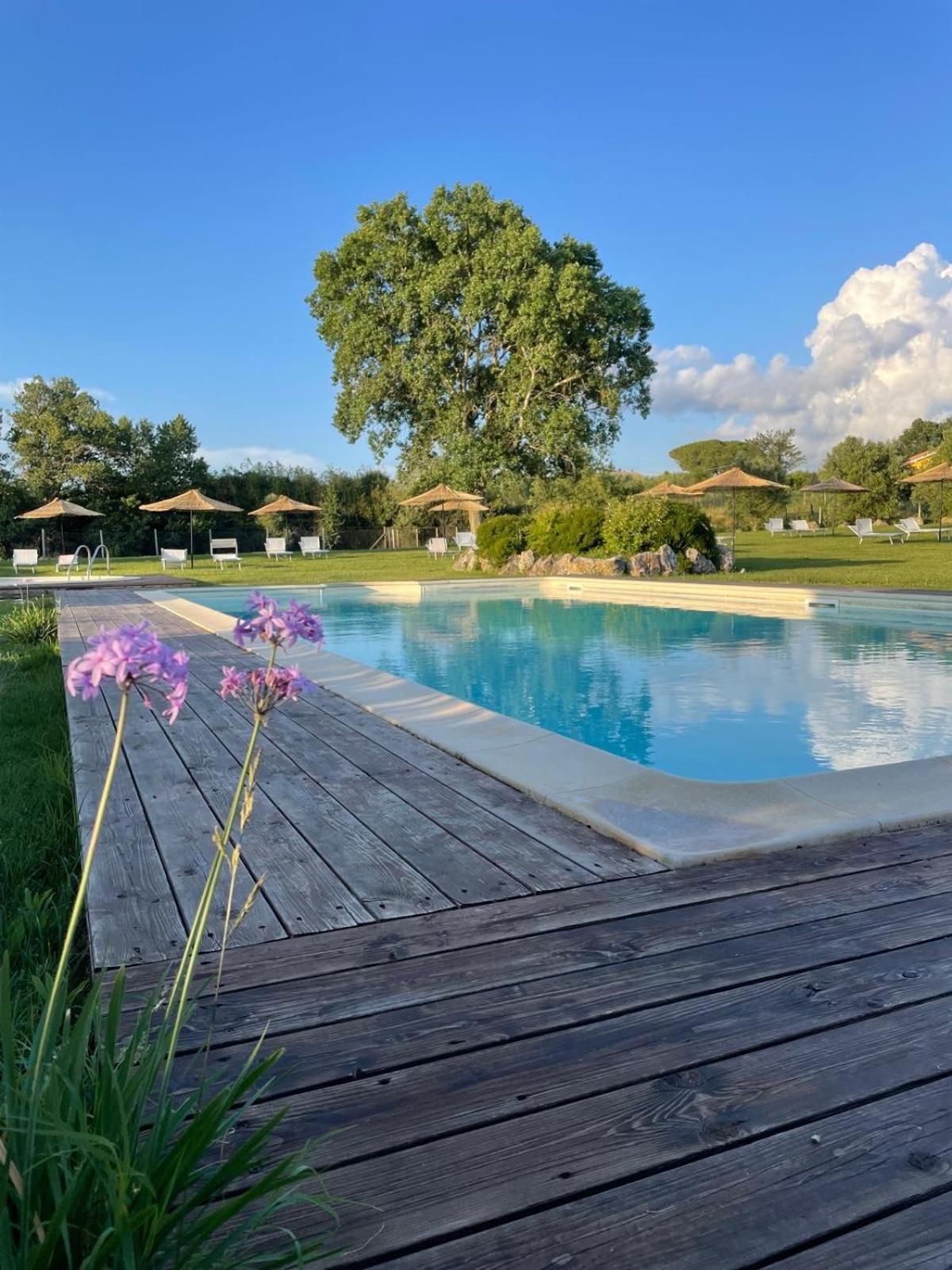 Agriturismo I Tre Fossi Magliano in Toscana Extérieur photo