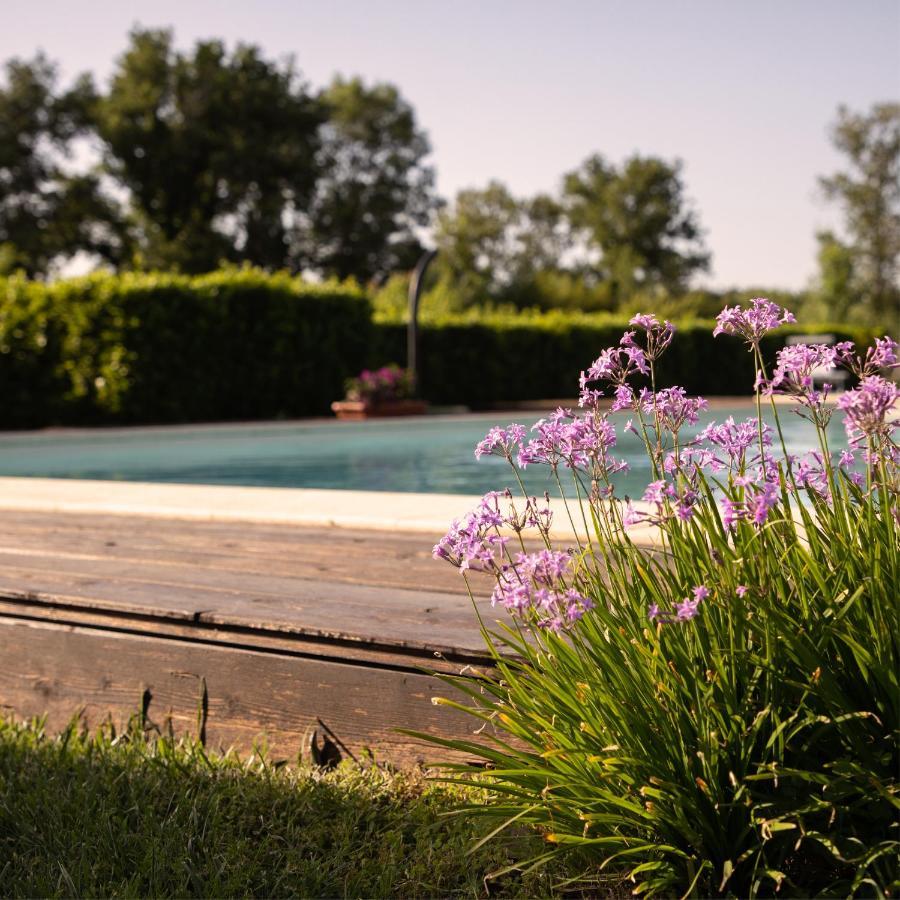 Agriturismo I Tre Fossi Magliano in Toscana Extérieur photo