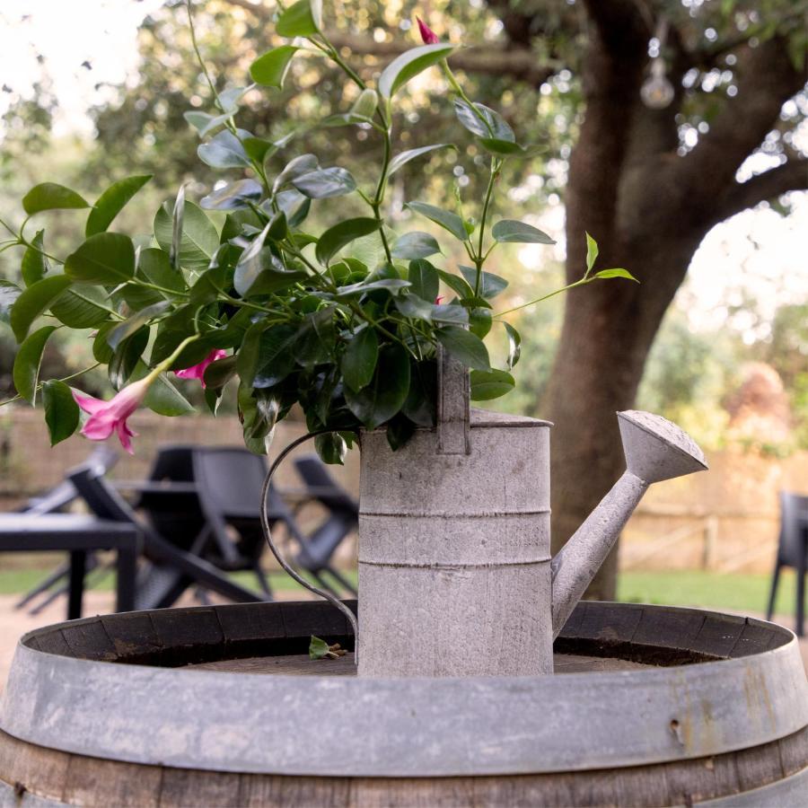 Agriturismo I Tre Fossi Magliano in Toscana Extérieur photo